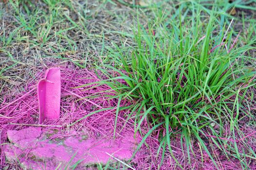 Vivid pink color paint splashed over green grass.