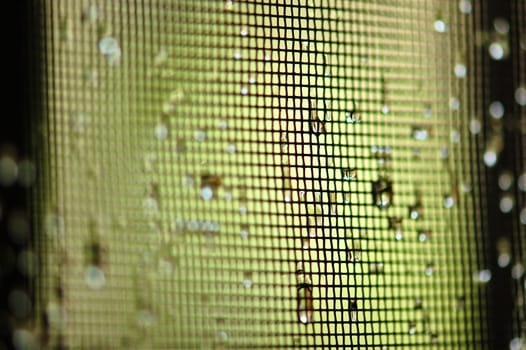 Macro of raindrops on wire mesh netting. Selective focus.