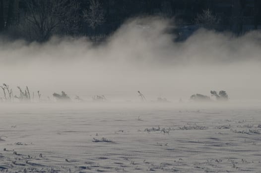 a snowstorm in a snowy landscape outside