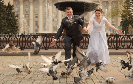 Newly-married couple. Pair young men in wedding day