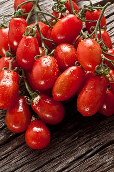 fresh italian cherry tomato on wood