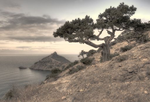 The sea and mountains.Picturesque mountains and the black sea, Crimea, Ukraine