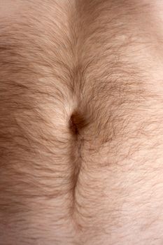 Male hairs belly, bellybutton in light from window