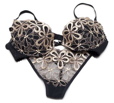 Kit of the feminine underclothes, panties and bra