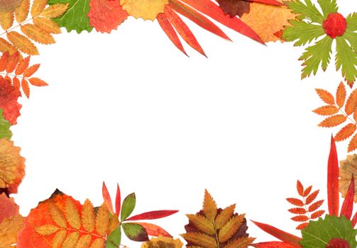 Frame from autumn sheet on white background