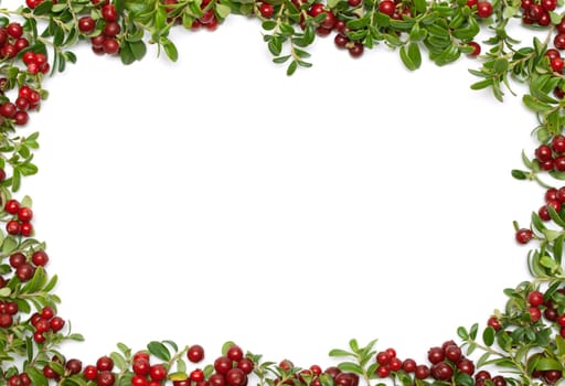 Frame from sheet and fruit of the cowberry on white background