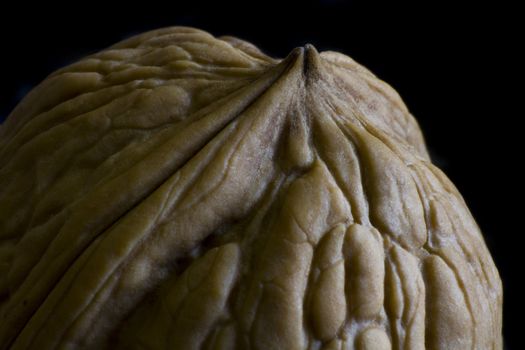 Walnut in low key picture in close up