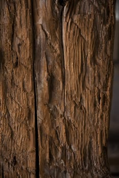 Dark rough wood in close up