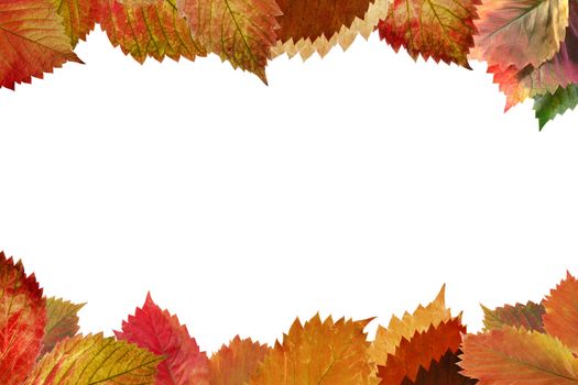 Frame from autumn leaves. Decorative registration isolated on a white background