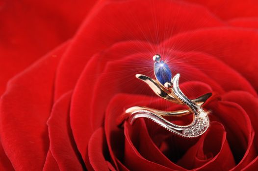 Ring in a white rose. A jewelry on a blossoming bud of a flower