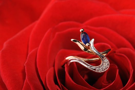 Ring in a white rose. A jewelry on a blossoming bud of a flower