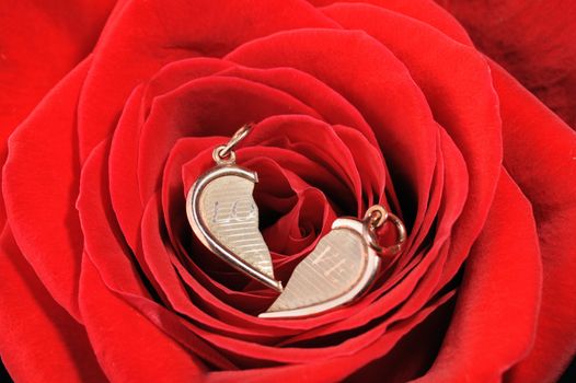 Ring in a red rose. A jewelry on a blossoming bud of a flower