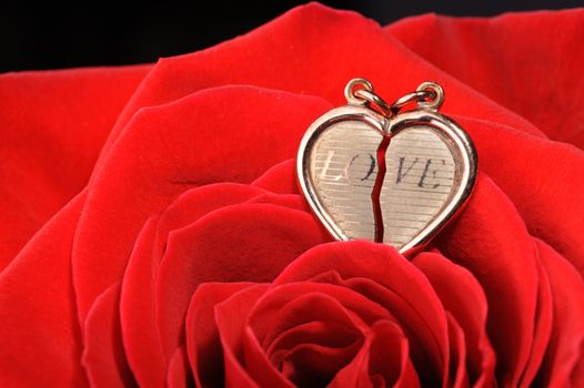Ring in a red rose. A jewelry on a blossoming bud of a flower