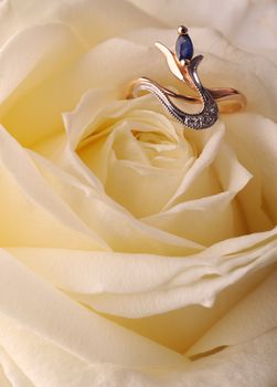 Ring in a white rose. A jewelry on a blossoming bud of a flower
