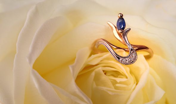 Ring in a white rose. A jewelry on a blossoming bud of a flower