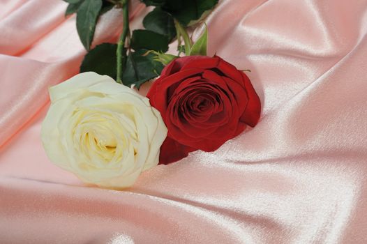 Rose on satin. A flower laying on effective material