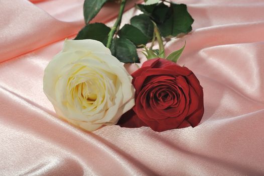 Rose on satin. A flower laying on effective material
