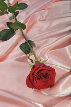 Rose on satin. A flower laying on effective material