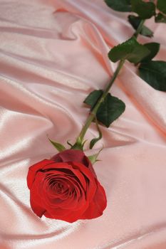 Rose on satin. A flower laying on effective material