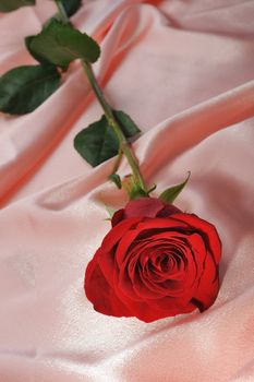 Rose on satin. A flower laying on effective material