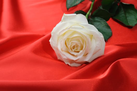 Rose on satin. A flower laying on effective material
