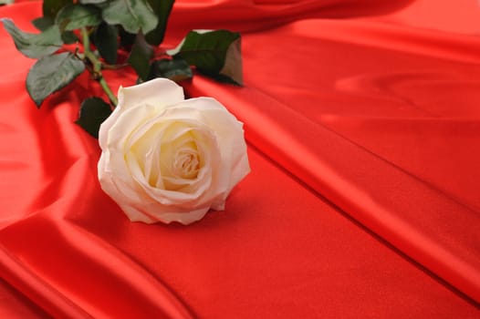 Rose on satin. A flower laying on effective material