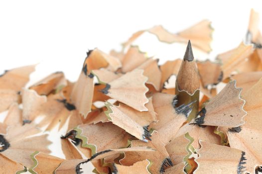 Pencil in an environment shavings. A photo close up