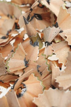 Pencil in an environment shavings. A photo close up