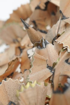 Pencil in an environment shavings. A photo close up