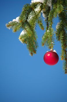 a red bauble in a winter landscape