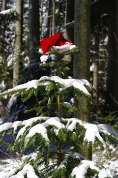 red santa claus hats in a snowy landscape