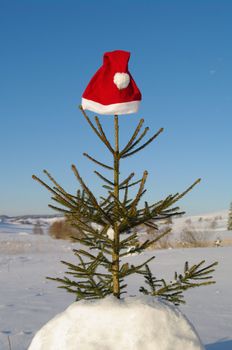 red santa claus hats in a snowy landscape