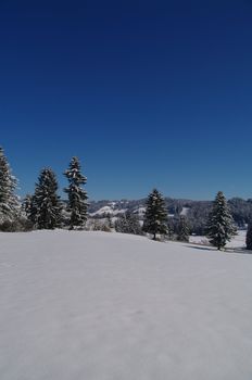 beautiful snowy winter landscape at Christmas time...