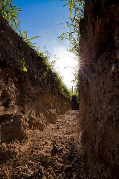 Low view of digged trench. Low view