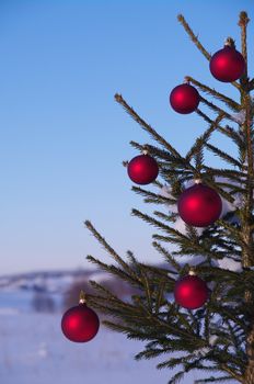 baubles  on a Christmas tree outside in a snowy landscape