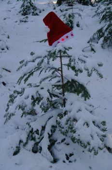 red santa claus hats in a snowy landscape