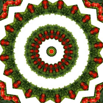 Kaleidoscope vegetable . An abstract background with repeating elements