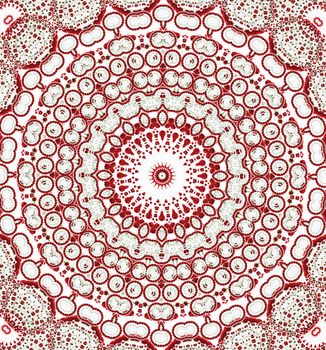 Kaleidoscope rose. An abstract background with repeating elements