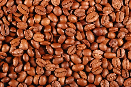 Coffee background. Perfect coffee grains. High detail