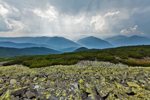 Peaks of the Carpathians mountains wrapped up with a mist