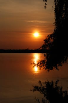 Sunset above water. Growing trees on coast in the form of silhouettes