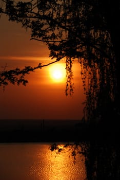 Sunset above water. Growing trees on coast in the form of silhouettes