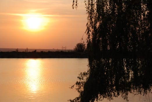 Sunset above water. Growing trees on coast in the form of silhouettes