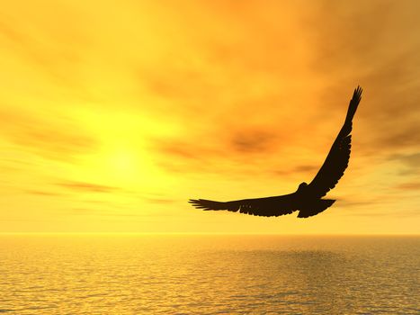Eagle and a yellow decline. A soaring eagle above ocean