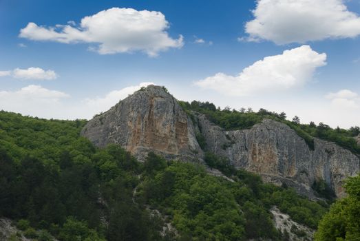 Mountains and forest. Crimean mountains covered dense forest