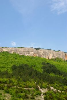 Mountains and forest. Crimean mountains covered dense forest