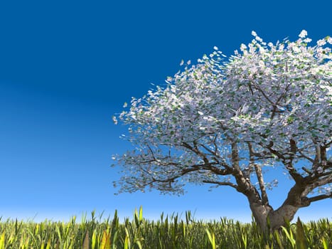 Blossoming tree on a meadow. Cherry a tree with colors