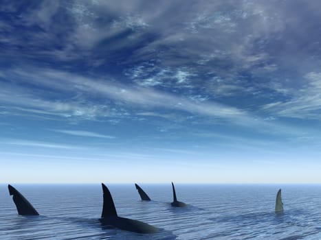 Flight of sharks. Sea amphibians floating under water