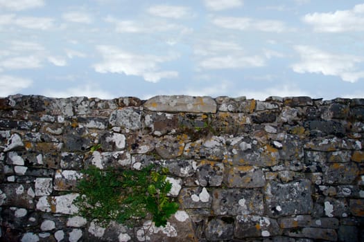 an old irish stone wall in kerry