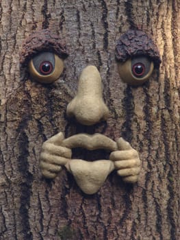 Man face made in a tree in the forest